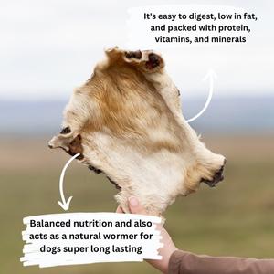 Long-lasting hairy beef bark dog treat by Mabel's Natural Pet Supplies™, shown as a natural, textured beef chew for dogs.