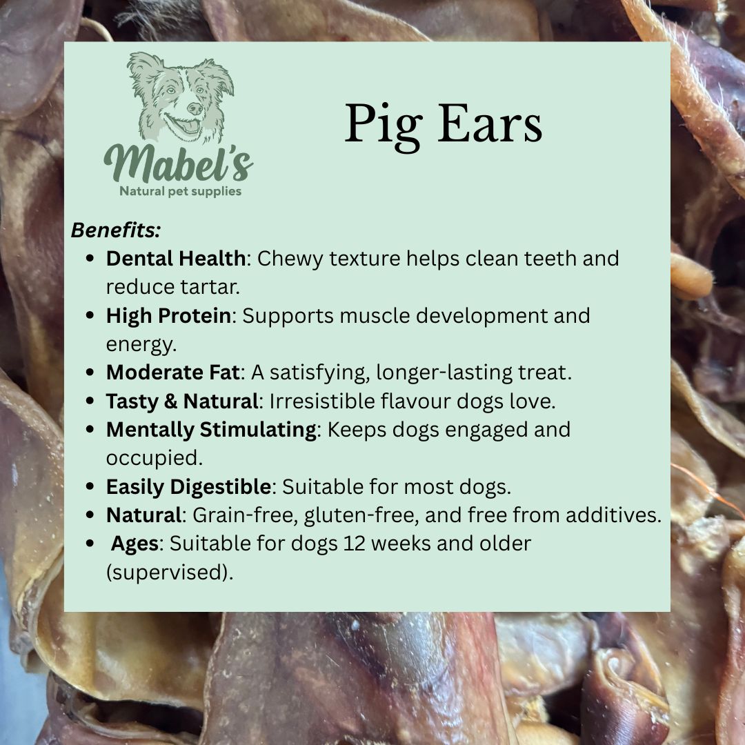 Dog treats by Mabel's Natural Pet Supplies: single pig's ear chew, available in 10 or 50 pack for dogs.