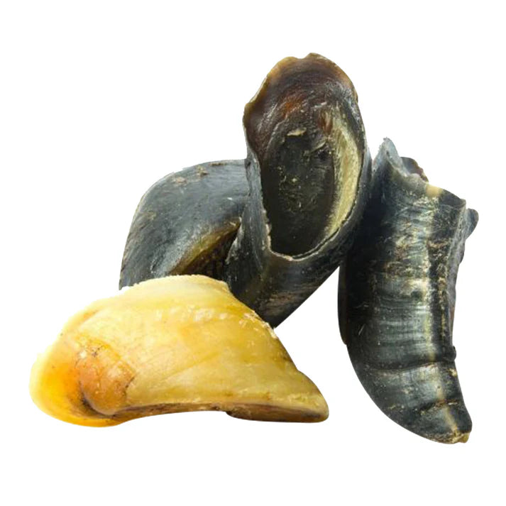 Empty cow hooves from Mabel's Natural Pet Supplies, available as a single or 4-pack, shown in the image.