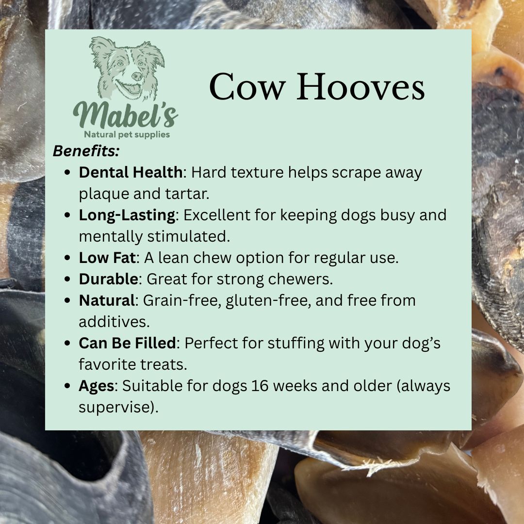 Empty cow hooves from Mabel's Natural Pet Supplies™, single or 4-pack, showcasing natural chew treats for dogs.