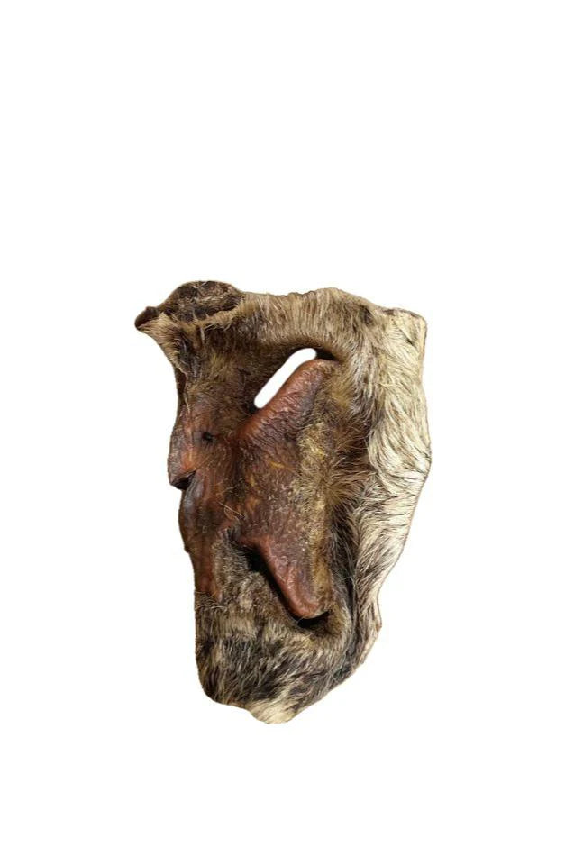Mabel's Natural Pet Supplies hairy beef snout treat, single or 1kg bulk bag, showing a close-up of the textured beef snout on a white background.