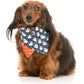 That's The Spirit - 2 pack (Bowtie & Bandana set)